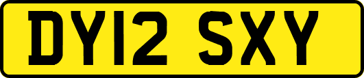 DY12SXY