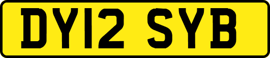 DY12SYB