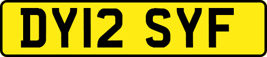 DY12SYF