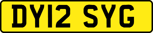 DY12SYG