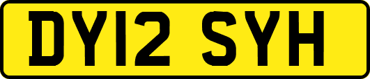 DY12SYH