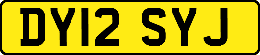 DY12SYJ