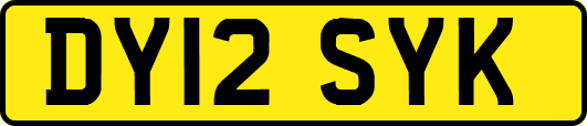DY12SYK