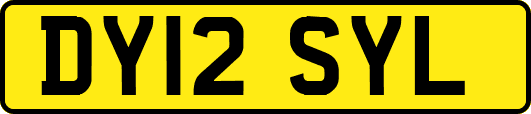 DY12SYL