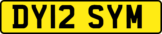 DY12SYM