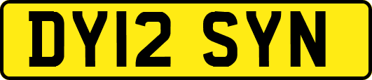 DY12SYN