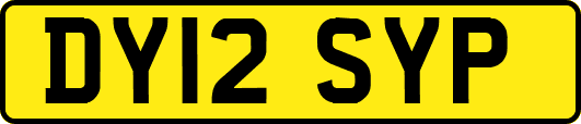 DY12SYP
