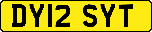 DY12SYT