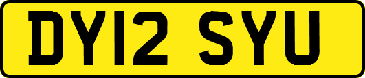 DY12SYU