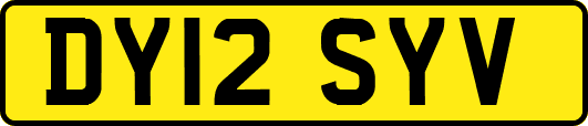 DY12SYV