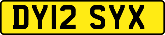 DY12SYX
