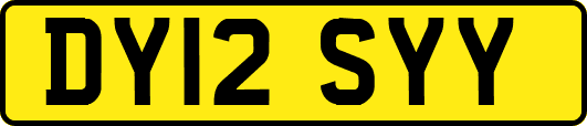 DY12SYY