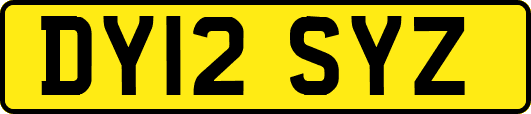 DY12SYZ