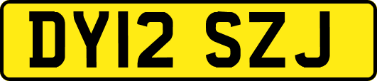 DY12SZJ
