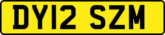 DY12SZM