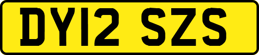 DY12SZS