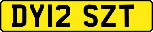 DY12SZT