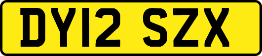 DY12SZX