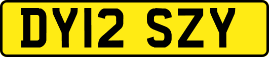 DY12SZY