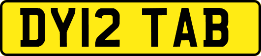 DY12TAB