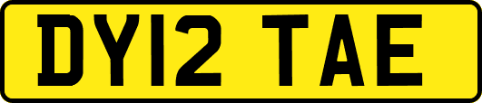 DY12TAE