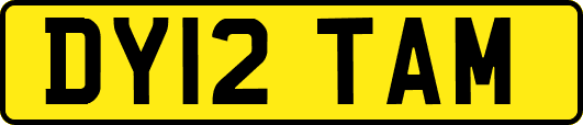 DY12TAM