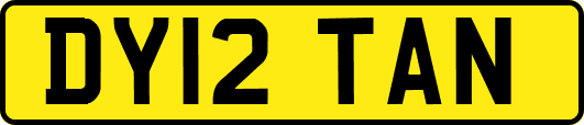 DY12TAN