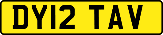 DY12TAV