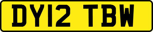 DY12TBW