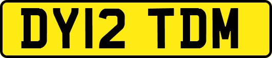 DY12TDM