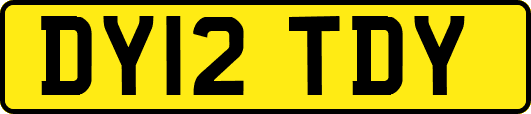 DY12TDY