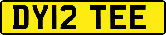 DY12TEE