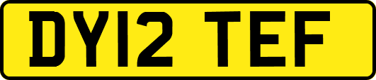 DY12TEF