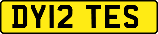 DY12TES