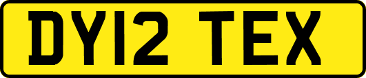 DY12TEX