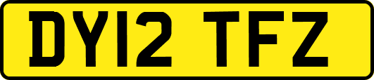 DY12TFZ