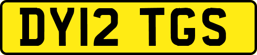 DY12TGS