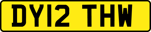 DY12THW
