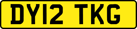 DY12TKG