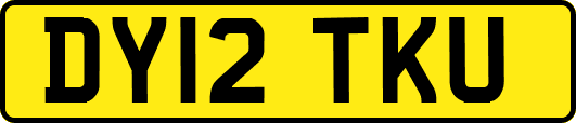 DY12TKU