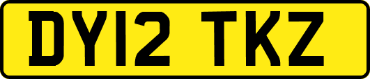 DY12TKZ