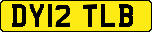 DY12TLB