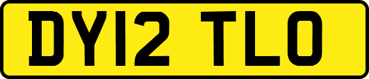 DY12TLO