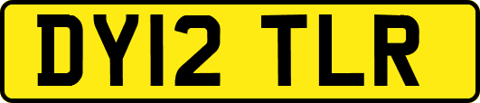 DY12TLR