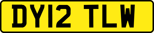 DY12TLW