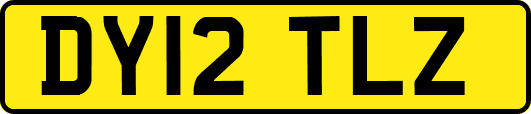 DY12TLZ