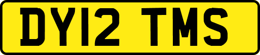 DY12TMS