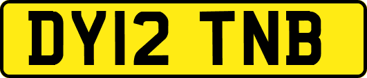 DY12TNB