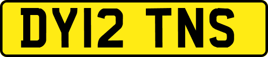 DY12TNS