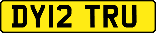 DY12TRU